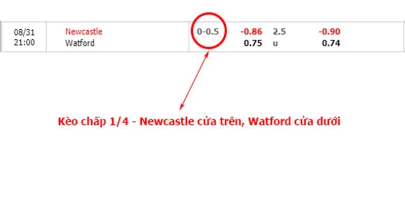 Hướng dẫn cách đọc kèo bóng đá chấp 0,25 bàn thắng