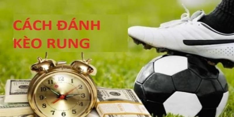 Hướng dẫn đặt kèo rung dành cho người mới bắt đầu